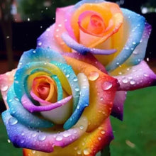 Load image into Gallery viewer, Blue Enchantress Rose Seeds For Garden
